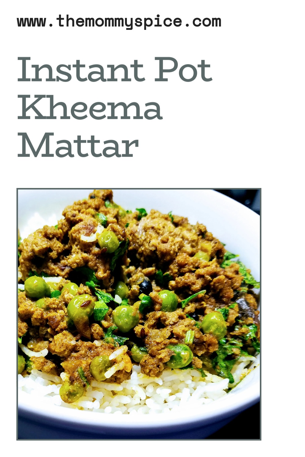 Instant Pot Kheema - Indian Spiced Ground Meat