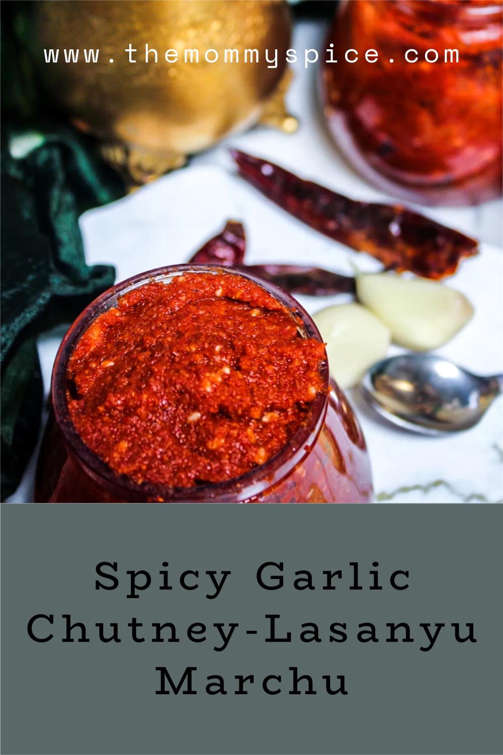 Spicy Garlic Chutney