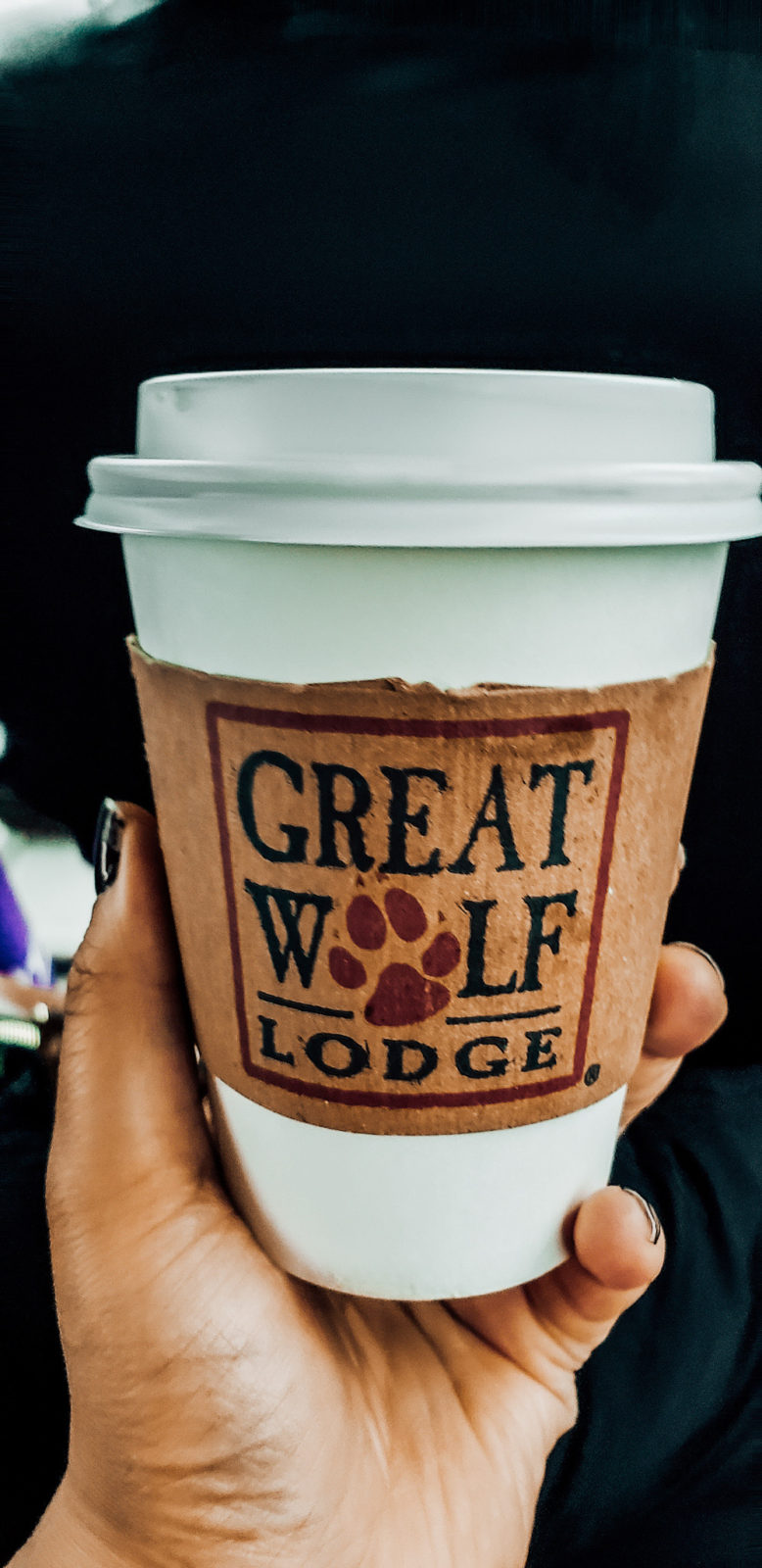 Our Visit to Great Wolf Lodge Boston/Fitchburg