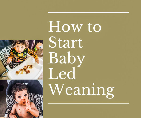 How To Start Baby Led Weaning - THE MOMMY SPICE